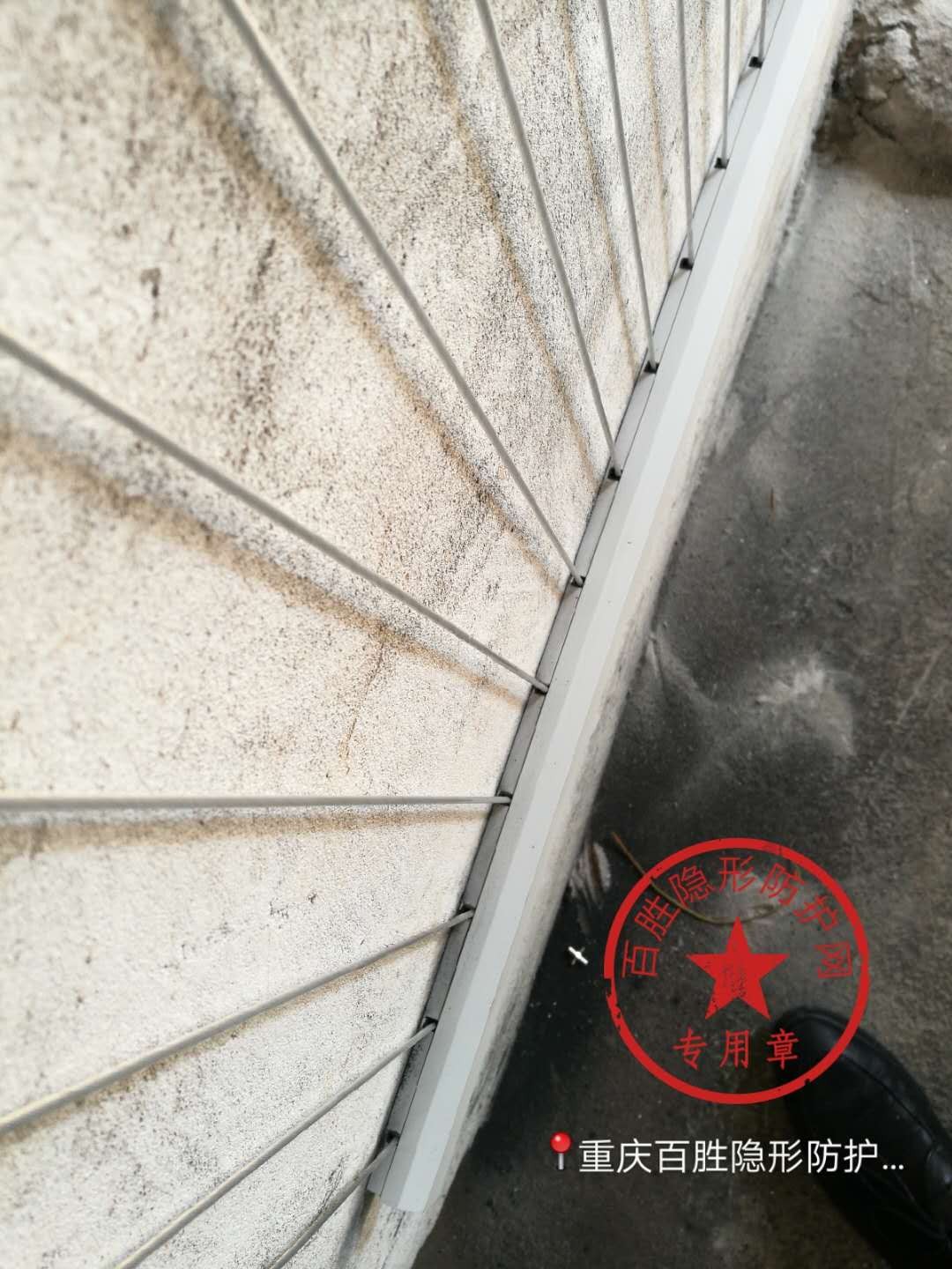 产品名称